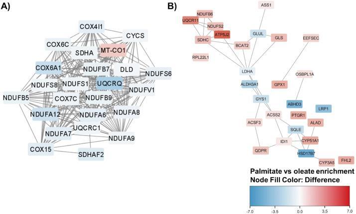 New research in Neoplasia
