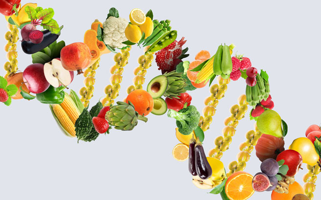 The importance of nutrition in cancer care 
