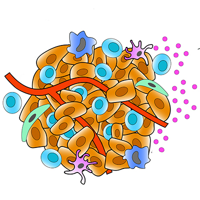 Promises of Tissue based imaging in Cancer research and Diagnostics